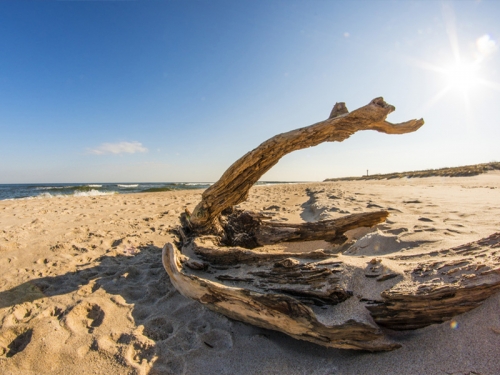 teaserbilder_umgebung_4